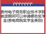 贵州电子商务职业技术学院就读期间可以申请哪些奖学金(贵电商院奖学金类别)