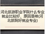 河北旅游职业学院什么专业就业比较好，原因是啥(河北旅院好就业专业)