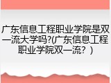 广东信息工程职业学院是双一流大学吗?(广东信息工程职业学院双一流？)