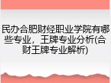 民办合肥财经职业学院有哪些专业，王牌专业分析(合财王牌专业解析)