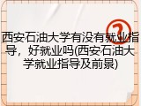 西安石油大学有没有就业指导，好就业吗(西安石油大学就业指导及前景)