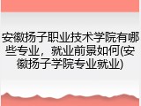 安徽扬子职业技术学院有哪些专业，就业前景如何(安徽扬子学院专业就业)