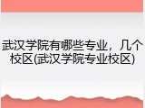 武汉学院有哪些专业，几个校区(武汉学院专业校区)