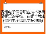 贵州电子信息职业技术学院是哪里的学校，在哪个城市(贵州电子信息学院地址)