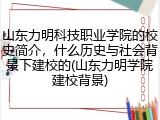 山东力明科技职业学院的校史简介，什么历史与社会背景下建校的(山东力明学院建校背景)