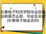 长春电子科技学院毕业后就业前景怎么样，毕业生去向(长春电子就业去向)