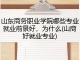 山东商务职业学院哪些专业就业前景好，为什么(山商好就业专业)