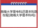 渤海大学是专科还是本科院校呢(渤海大学是本科吗)