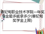 曹妃甸职业技术学院一年奖学金最多能拿多少(曹妃甸奖学金上限)