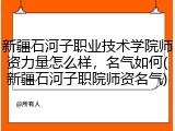 新疆石河子职业技术学院师资力量怎么样，名气如何(新疆石河子职院师资名气)