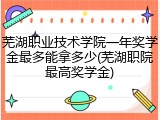 芜湖职业技术学院一年奖学金最多能拿多少(芜湖职院最高奖学金)
