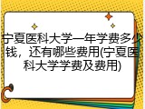 宁夏医科大学一年学费多少钱，还有哪些费用(宁夏医科大学学费及费用)