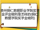 贵州铜仁数据职业学院奖学金评定细则是怎样的(铜仁数据学院奖学金细则)
