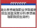湖北孝感美珈职业学院最新招生简章深度分析(孝感美珈职院招生简析)