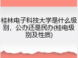桂林电子科技大学是什么级别，公办还是民办(桂电级别及性质)