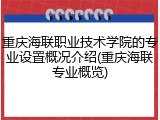 重庆海联职业技术学院的专业设置概况介绍(重庆海联专业概览)