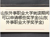 山东外事职业大学就读期间可以申请哪些奖学金(山东外事职业大学奖学金)