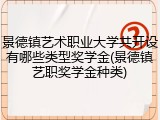 景德镇艺术职业大学共开设有哪些类型奖学金(景德镇艺职奖学金种类)