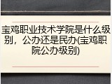 宝鸡职业技术学院是什么级别，公办还是民办(宝鸡职院公办级别)