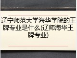 辽宁师范大学海华学院的王牌专业是什么(辽师海华王牌专业)