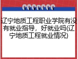 辽宁地质工程职业学院有没有就业指导，好就业吗(辽宁地质工程就业情况)