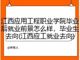 江西应用工程职业学院毕业后就业前景怎么样，毕业生去向(江西应工就业去向)