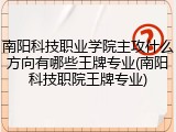 南阳科技职业学院主攻什么方向有哪些王牌专业(南阳科技职院王牌专业)