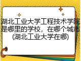 湖北工业大学工程技术学院是哪里的学校，在哪个城市(湖北工业大学在哪)