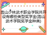 嵩山少林武术职业学院共开设有哪些类型奖学金(嵩山武术学院奖学金种类)