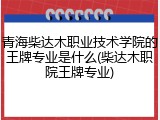 青海柴达木职业技术学院的王牌专业是什么(柴达木职院王牌专业)