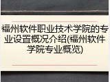 福州软件职业技术学院的专业设置概况介绍(福州软件学院专业概览)