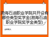 渤海石油职业学院共开设有哪些类型奖学金(渤海石油职业学院奖学金类型)