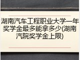 湖南汽车工程职业大学一年奖学金最多能拿多少(湖南汽院奖学金上限)