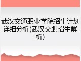 武汉交通职业学院招生计划详细分析(武汉交职招生解析)