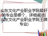 山东文化产业职业学院最好的专业是哪个，详细阐述(山东文化产业职业学院王牌专业)