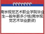 南京视觉艺术职业学院毕业生一般年薪多少钱(南京视觉艺术毕业薪资)