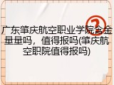 广东肇庆航空职业学院含金量量吗，值得报吗(肇庆航空职院值得报吗)