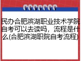 民办合肥滨湖职业技术学院自考可以去读吗，流程是什么(合肥滨湖职院自考流程)