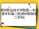 朔州职业技术学院是一本还是本科第二批(朔州职院是二本吗)