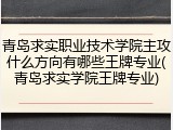 青岛求实职业技术学院主攻什么方向有哪些王牌专业(青岛求实学院王牌专业)