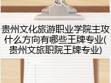 贵州文化旅游职业学院主攻什么方向有哪些王牌专业(贵州文旅职院王牌专业)