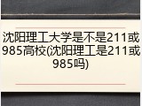 沈阳理工大学是不是211或985高校(沈阳理工是211或985吗)