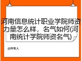 河南信息统计职业学院师资力量怎么样，名气如何(河南统计学院师资名气)