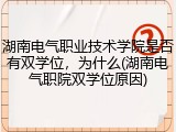 湖南电气职业技术学院是否有双学位，为什么(湖南电气职院双学位原因)