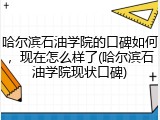 哈尔滨石油学院的口碑如何，现在怎么样了(哈尔滨石油学院现状口碑)