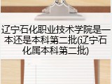 辽宁石化职业技术学院是一本还是本科第二批(辽宁石化属本科第二批)