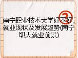 南宁职业技术大学好不好，就业现状及发展趋势(南宁职大就业前景)