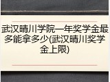 武汉晴川学院一年奖学金最多能拿多少(武汉晴川奖学金上限)