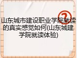 山东城市建设职业学院就读的真实感觉如何(山东城建学院就读体验)