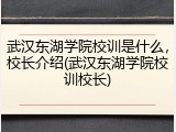 武汉东湖学院校训是什么，校长介绍(武汉东湖学院校训校长)
